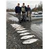 Image 14 : Alaska: 3 Night 2 Day Kenai River Private Salmon Fishing Charter for 4 Anglers.