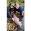 Image 5 : Alaska: 3 Night 2 Day Kenai River Private Salmon Fishing Charter for 4 Anglers.