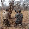 Image 9 : Mozambique:10 Day Cape Buffalo Hunt for One /  Includes Trophy Fee for One Cape Buffalo Plus Extras