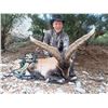Image 10 : SPAIN: 4 Day 3 Night Hunters Choice Combination Hunt, in a $4,000 TF Discount for 1 Hunter.