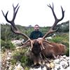 Image 1 : SPAIN: 4 Day 3 Night Hunters Choice Combination Hunt, in a $4,000 TF Discount for 1 Hunter.