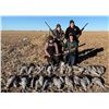 Image 2 : Texas: 3 Day 3 Night West Texas SandHill Crane Hunt for Two Hunters
