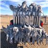 Image 9 : Texas: 3 Day 3 Night West Texas SandHill Crane Hunt for Two Hunters