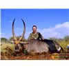 Image 3 : South Africa: 7 Day Hunt for 2 Hunters & 2 Observers / Includes one Limpopo Bushbuck per hunter.