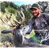 Image 1 : Arizona: 5 Day Trophy Coues Deer Muzzleloader Hunt for 2 Hunters