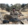 Image 2 : Arizona: 5 Day Trophy Coues Deer Muzzleloader Hunt for 2 Hunters