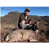 Image 3 : Arizona: 5 Day Trophy Coues Deer Muzzleloader Hunt for 2 Hunters