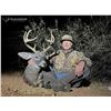 Image 4 : Arizona: 5 Day Trophy Coues Deer Muzzleloader Hunt for 2 Hunters