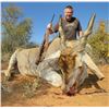 Image 13 : Botswana: 7 Day 6 Night Plains Game Hunt for 2 hunters, includes $4,000 of Trophy Fee Credits!