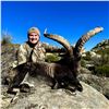 Image 4 : Spain: Trophy Big Game for 1 Hunter/Includes 1 of the following Mouflon Sheep, Fallow or Roe Deer.