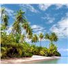 Image 2 : Costa Rica: 5 Night all-inclusive vacation for 2 adults