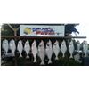 Image 7 : Alaska: Ninilchik 1 Day Halibut Charter for 2 Anglers with Alaskan Fishing Fever.  In Room Only!