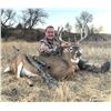 Image 2 : Nebraska: 4 Day 3 Night 2024 Deer Hunt (Mule Deer or Whitetail Deer) for One Hunter