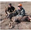 Image 6 : Nebraska: 4 Day 3 Night 2024 Deer Hunt (Mule Deer or Whitetail Deer) for One Hunter