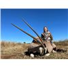 Image 6 : South Africa: 10 Day Plains Game Hunt for 2 Hunters / Includes a $1,500 Trophy Fee Credit Per Hunter
