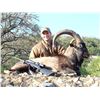 Image 10 : Texas: 2 Day Trophy Sika Deer and Wild Boar Hunt for 1 Hunter & 1 Non-Hunter.