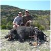 Image 5 : Texas: 2 Day Trophy Sika Deer and Wild Boar Hunt for 1 Hunter & 1 Non-Hunter.