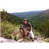Image 6 : Texas: 2 Day Trophy Sika Deer and Wild Boar Hunt for 1 Hunter & 1 Non-Hunter.