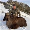 Image 10 : New Zealand: 3 Day 4 Night Chamois Hunt for 2 Hunters, Including the Trophy Fees for 2 Chamois