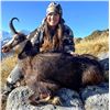 Image 2 : New Zealand: 3 Day 4 Night Chamois Hunt for 2 Hunters, Including the Trophy Fees for 2 Chamois
