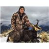 Image 3 : New Zealand: 3 Day 4 Night Chamois Hunt for 2 Hunters, Including the Trophy Fees for 2 Chamois