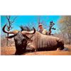 Image 4 : Botswana: 7 Day 6 Night Plains Game Hunt for 2 hunters, includes $4,000 of Trophy Fee Credits!