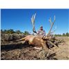 Image 4 : New Mexico: 5 Day Elk/Bear Combination rifle hunt for 2 hunters.