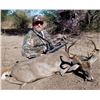 Image 2 : Mexico: 4 Day 5 Night Trophy Coues Deer Hunt for 2 Hunters, includes 2 Trophy Coues Deer.