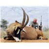 Image 3 : South Africa: 12 Day Plains Game Hunt for Two Hunters / Includes a $3,000 Trophy Fee Credit