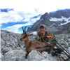 Image 4 : Spain: 4 Day Big Game Hunt for One Hunter, including the trophy fee for 1 Iberian Red Deer Stag