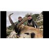 Image 7 : Spain: 4 Day Big Game Hunt for One Hunter, including the trophy fee for 1 Iberian Red Deer Stag