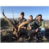 Image 9 : Spain: 4 Day Big Game Hunt for One Hunter, including the trophy fee for 1 Iberian Red Deer Stag