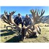 Image 2 : New Zealand: 5 Day, 4 Night Red Stag Hunt for 1 Hunter, Includes 1 Stag up to 525 SCI