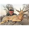 Image 10 : Namibia: 5 D Plainsgame Hunt for 1 Hunter, Includes Kudu, Gemsbok, Warthog & Duiker Trophies.