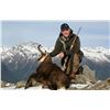 Image 8 : New Zealand: 5 Day Trophy Hunt for 2 Hunters & 2 Observers, including a $9,000 Trophy Free Credit