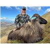 Image 3 : New Zealand: 5 D, 4 N Hunt for 1 Hunter & 1 Observer, Includes 1 Himalayan Tahr OR 1 Red Stag