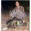 Image 4 : Mexico: Yucatán Peninsula 4 Days, 2 hunters that includes 1 Ocellated Turkey & 1 Brocket Deer each.