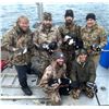 Image 2 : Cordova, AK: 3 Day Guided Sea Duck Hunt for 4 Hunters with Serenity Charters. Collectors Special