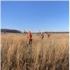 Image 3 : Missouri: 3 Day Pheasant Hunt for 2 Hunters. White Deer or Snow Geese can be added!