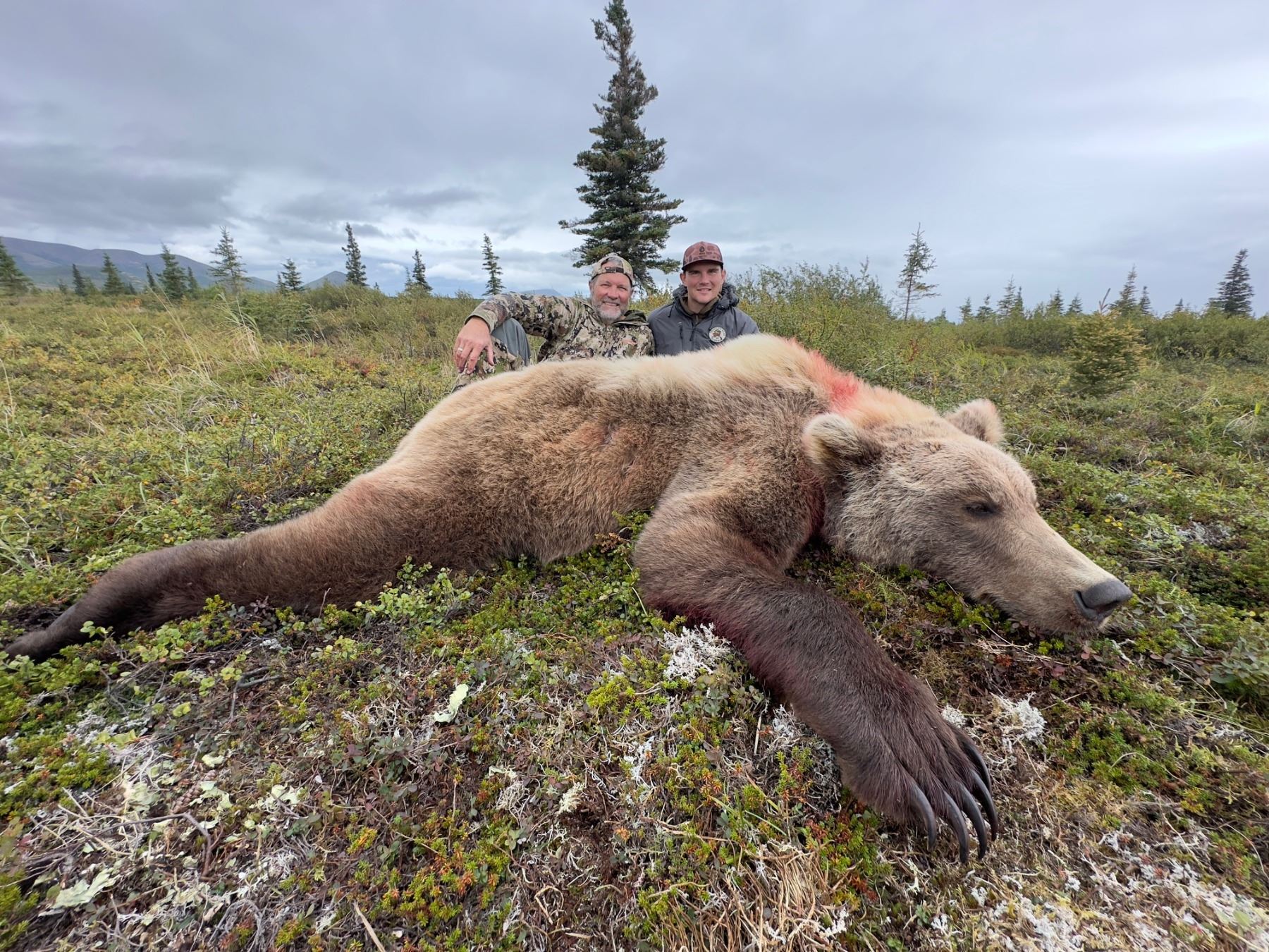 Medaglione Portachiavi O Decorazione Con Orso Grizzly Per Bastone Da Escursionismo - Nuovo - Foto 3