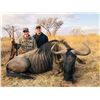 Image 1 : 10 Day Blue Wildebeest & Impala Hunt with Bosveld Jacob Safaris