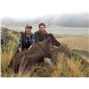 Image 1 : 5 day Bull Tahr hunt for 1 hunter & 1 non-hunter.