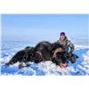 Image 1 : NORTHWEST TERRITORIES 5 DAY MUSK OX HUNT FOR ONE HUNTER