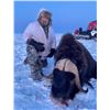 Image 3 : NORTHWEST TERRITORIES 5 DAY MUSK OX HUNT FOR ONE HUNTER
