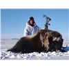 Image 5 : NORTHWEST TERRITORIES 5 DAY MUSK OX HUNT FOR ONE HUNTER
