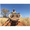 Image 5 : SL9 - NAMIBIAN PLAINS GAME SAFARI FOR 2 HUNTER AND 2 NON-HUNTERS