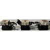 Image 3 : (3) Fuji #SC-N7 (152) Contactors