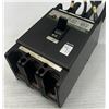 Image 3 : Matsushita #T-225 Green Power Thyristor Protector