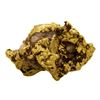 Image 1 : 2.49 Gram Sinaloa, Mexico Gold Nugget