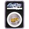 Image 2 : 11.23 Gram Caborca Sonora Mexico Gold Nugget NGC Vaultbox Unvaulted